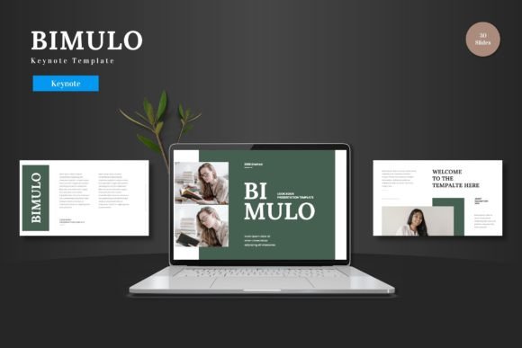 Bimulo - Keynote Template